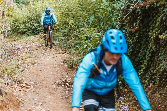 Pedals & Flavours: Sorrento oil and lemon tour - Who is this tour best for?