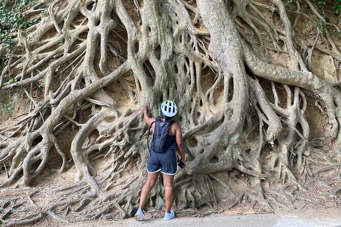 Pedego Electric Bike Tour at Greenville - What’s Included & What You’ll Pay For