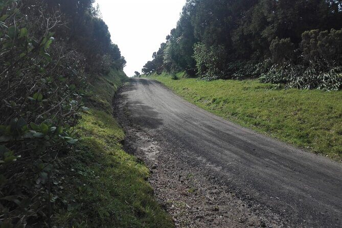 Pedestrian Walk Vista do Rei  Sete Cidades(Half day) - The Itinerary: A Closer Look