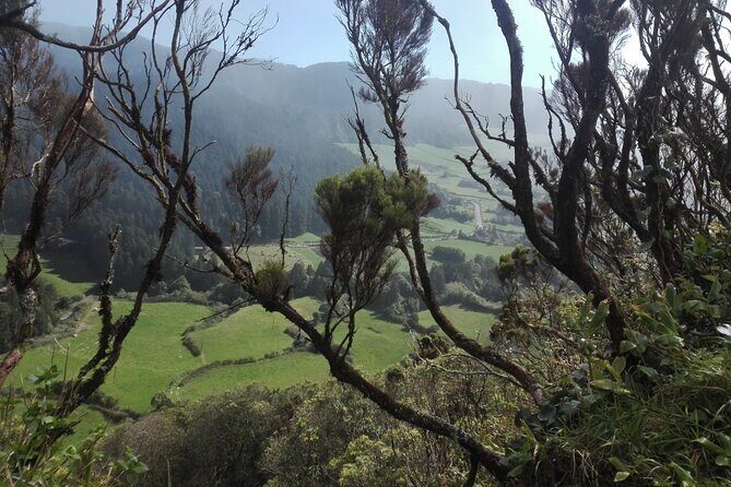 Pedestrian Walk Vista do Rei  Sete Cidades(Half day) - Frequently Asked Questions