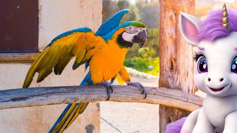 Peguera: The lovely Magical Creatures of Peguera,family walk - Who Should Consider This Tour?