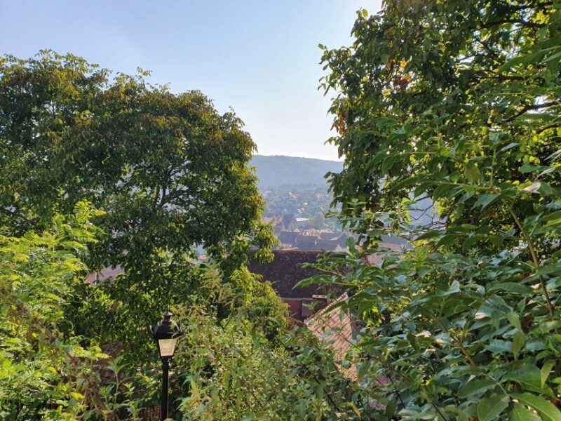 Pele Castle, Bran Castles and Brasov City - Private Tour - The Sum Up