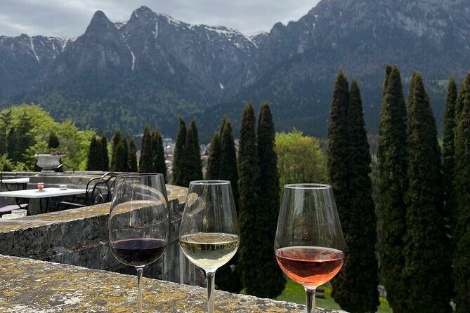 Peles & Cantacuzino Castles: Gourmet Wine & Cultural Day trip - Who Should Consider This Tour?