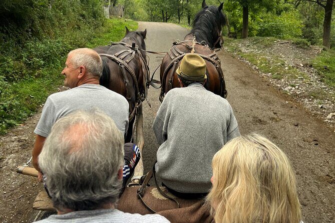 Peles castle and authentic Romanian village experience - day trip - Exploring the Day Trip: From Bucharest to the Mountains and Villages