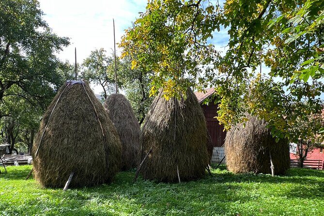 Peles castle and authentic Romanian village experience - day trip - Who Should Consider This Tour