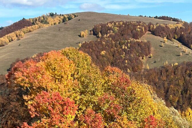Peles castle and authentic Romanian village experience - day trip - Final Thoughts