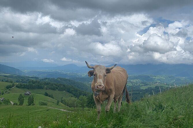 Peles castle and authentic Romanian village experience - day trip - FAQ