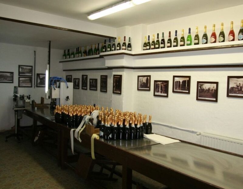 Peles Castle & Wine Tasting Tour - Full-Day from Bucharest - An Introduction to the Day Trip