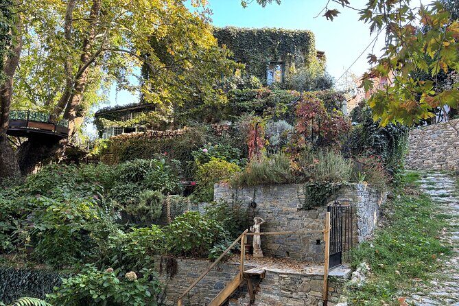 Pelion Treasures: Private Tour of Tsagkarada & Mylopotamos - What to Expect from the Pelion Treasures Tour