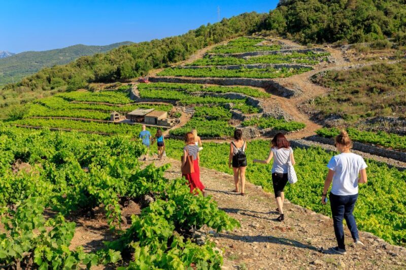 Peljeac Full-Day Wine and Food Tour from Dubrovnik - FAQ