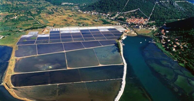 Peljeac Wine & Oyster Tasting Private Tour - Real Traveler Insights