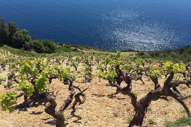 Peljesac and Ston Private Wine Tour with Tastings from Dubrovnik - Exploring the Peljesac Peninsula and Ston