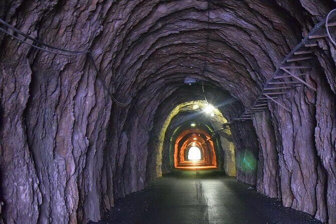 Peljesac and Ston Private Wine Tour with Tastings from Dubrovnik - Who Should Consider This Tour?