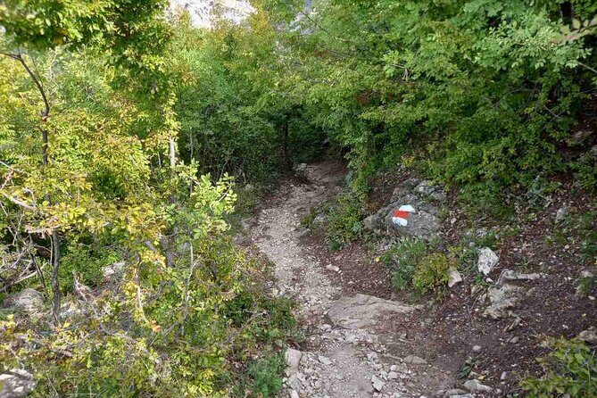 Pellumbas Cave Tour and Petrela Castle from Tirana - FAQs