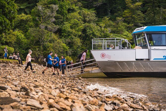 Pelorus Mail Boat Sunday Scenic Cruise  Full-Day from Havelock - The Itinerary Breakdown: What to Expect