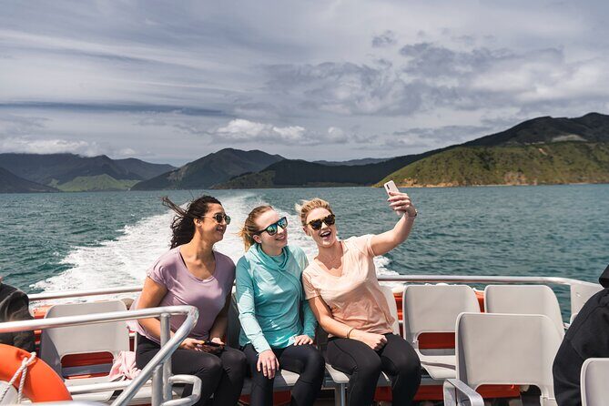 Pelorus Mail Boat Sunday Scenic Cruise  Full-Day from Havelock - Who Is This Tour Best For?