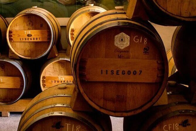 Pena de Bernal Tequisquiapan and wine - Key Points