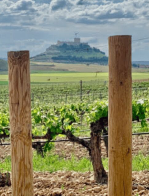 Peñafiel . Visita privada Castillo y casco Histórico - Key Points
