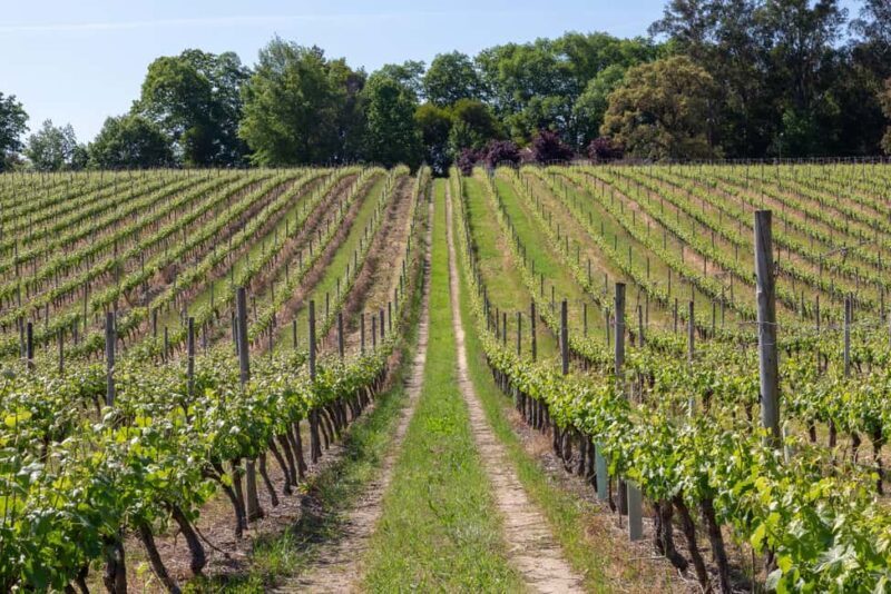 Penafiel: Wine, History and Archaeology Experience - FAQ