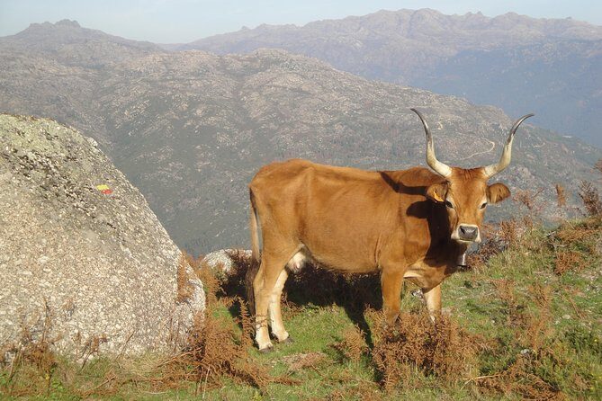 Peneda-Gerês National Park - Nature & Tastings - - Final Thoughts