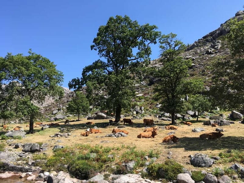 Peneda Geres National Park: Private Tour with a Guide - FAQs