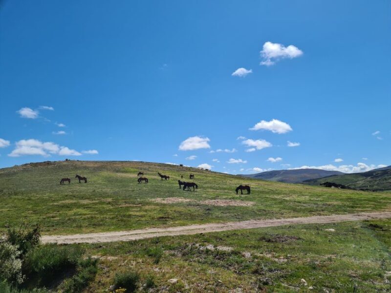 Peneda Gerês National Park: Self-Guided Electric Bike Tour - An In-Depth Look at the Experience