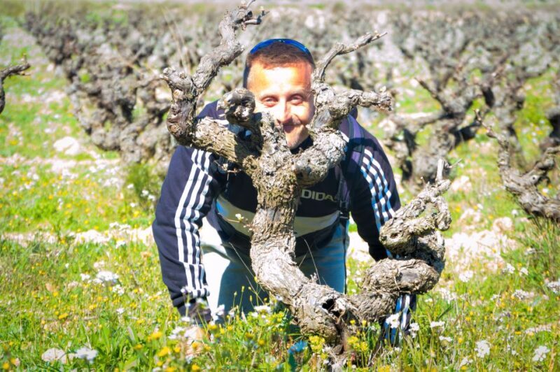 Penedès/BCN: Self-Guided eBike Tour with guided Winery Visit - The Itinerary in Detail