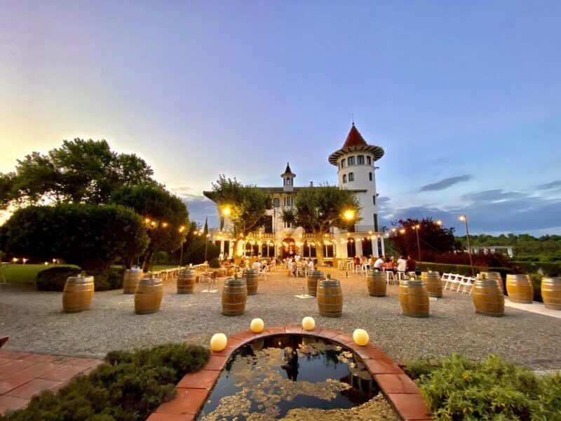 Penedès: Discovery Tour with Cava Tasting - What to Expect from the Penedès Cava Tour