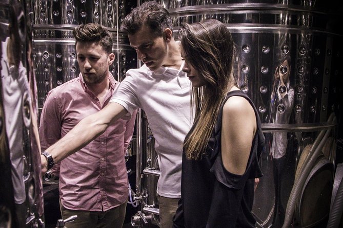 Penedes Wine & Cava Tasting & 4WD Vineyards Tour from Barcelona - What the Tastings Feel Like (and What to Watch For)