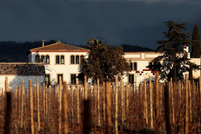Penedes Wine & Cava Tasting & 4WD Vineyards Tour from Barcelona - The Second Winery: Jeep/Vineyard Ride + Still Wines