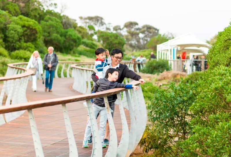 Penguin Parade: General Viewing Ticket - An In-Depth Look at the Penguin Parade General Viewing Ticket