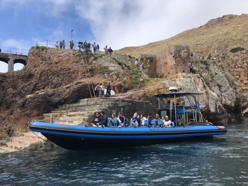Peniche: Berlenga Island and Cave Tour - Who is This Tour Best For?