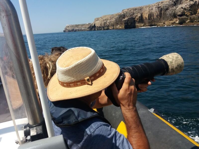 Peniche: Dolphin Route Boat Trip - The Experience and Comfort