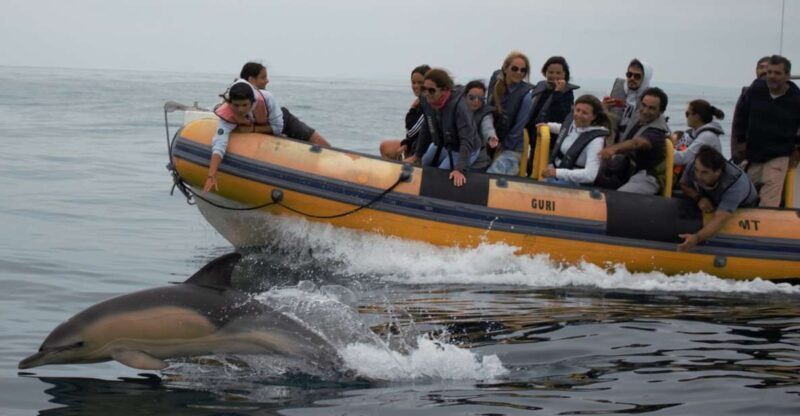 Peniche: Dolphin Route Boat Trip - FAQ