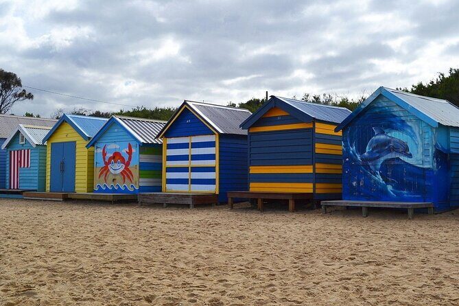 Peninsula Nature Tour - What the Tour Entails: A Deep Dive into the Itinerary