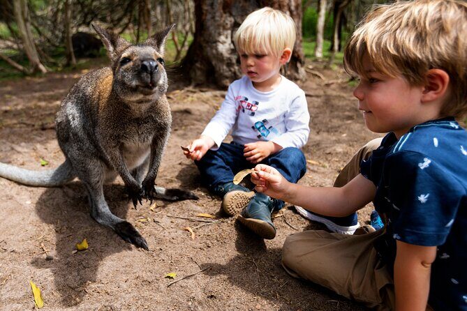Peninsula Nature Tour - FAQ