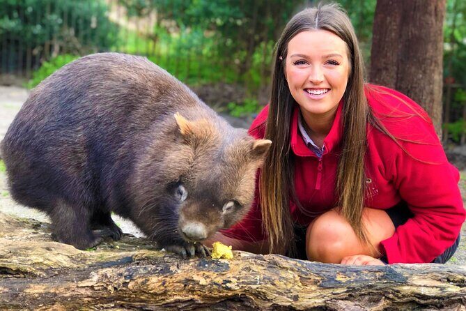 Peninsula Nature Tour - Final Thoughts