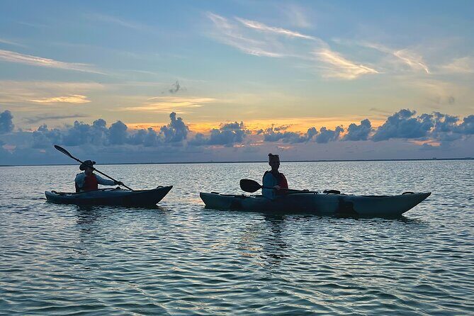 Pensacola Beach Kayak Tour - An In-Depth Look at the Pensacola Beach Kayak Tour