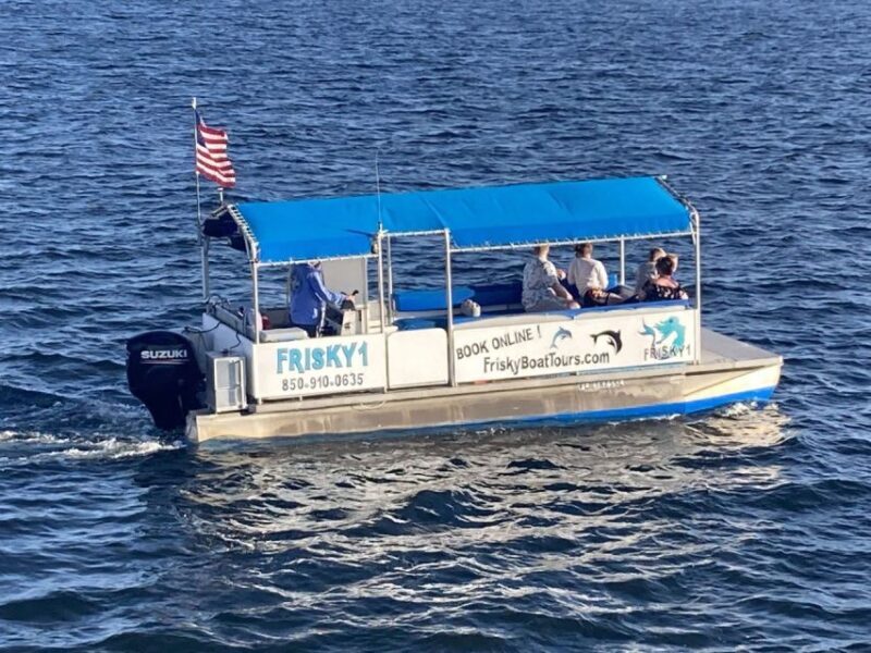Pensacola Beach Sunset Dolphin Tour private up to 6 ppl - The Experience Provider: Frisky Mermaid Dolphin Tours & Boat Rent