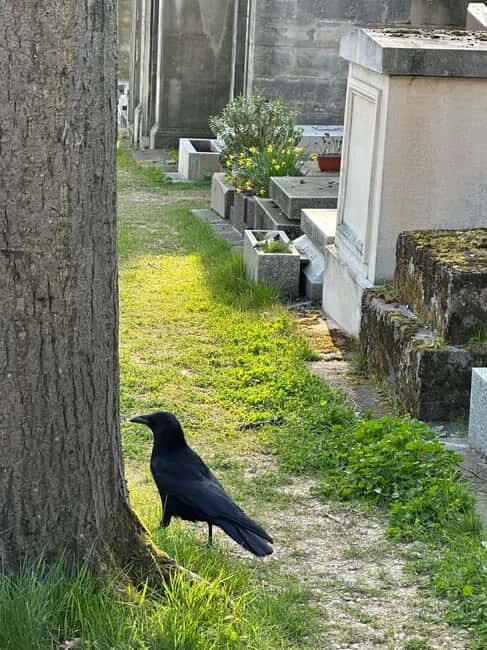 Père Lachaise Cemetery Watercolor Postcard Workshop in Paris - Frequently Asked Questions