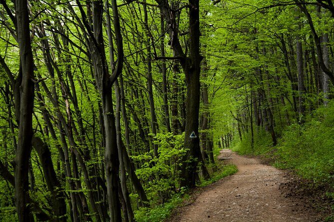 Perfect bike tour around Brasov - Key Points