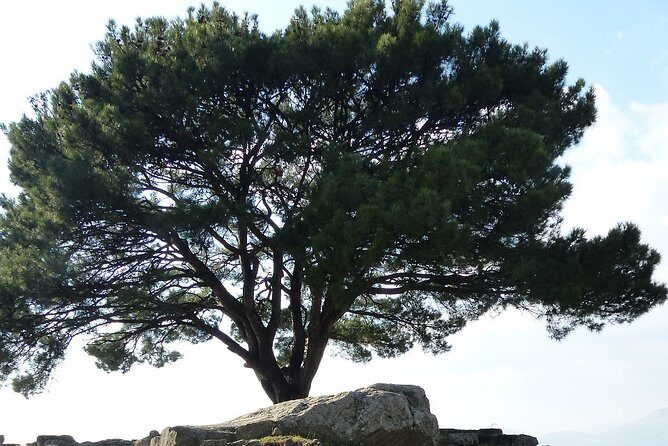 Pergamon Tour - Who Should Consider This Tour?