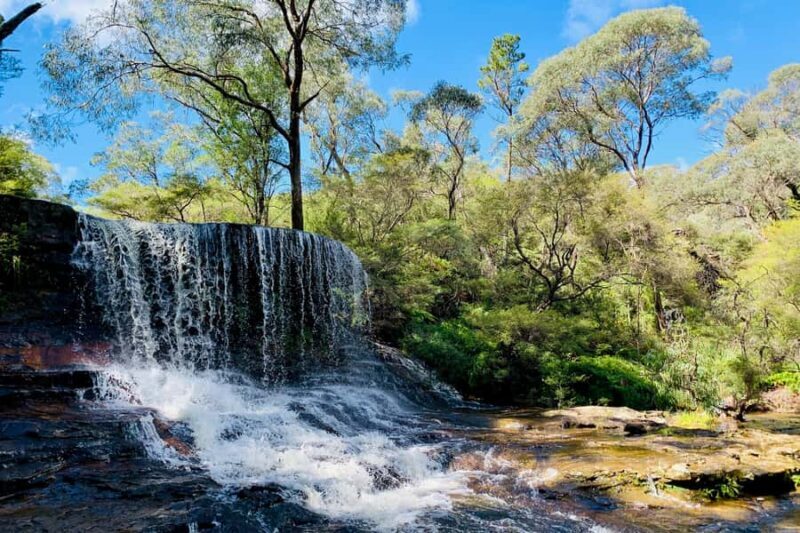 Personalised Blue Mountains Tour: Luxury Vehicles & Insights - Key Points