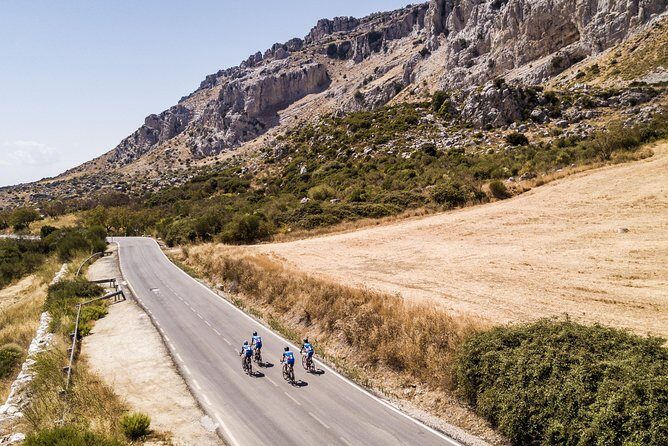 Personalised Road Bike Tour in Malaga - What the Tour Offers: A Deep Dive