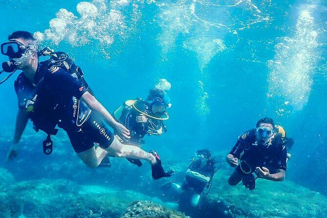 Personalized Snorkeling and Diving Experience in Riviera Maya - What to Expect from the Riviera Maya Snorkeling and Diving Tour