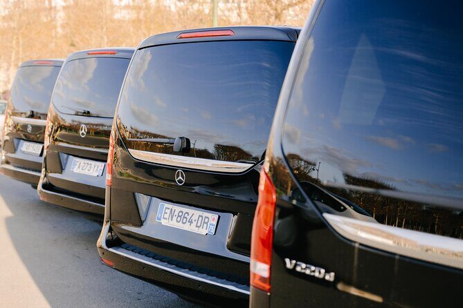 Personalized Transport service from Disneyland to Paris - What to Expect from the Service