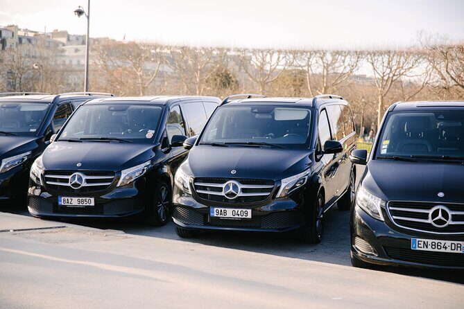 Personalized Transport service from Disneyland to Paris - Who Is This Service Best For?
