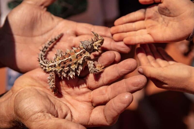 Perth: 7 Day Exmouth Explorer & Ningaloo Reef Return Perth - FAQ