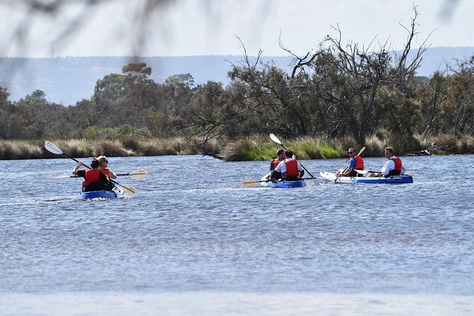 Perth Kayak Tour - Canning River Wetlands - What to Expect from the Tour