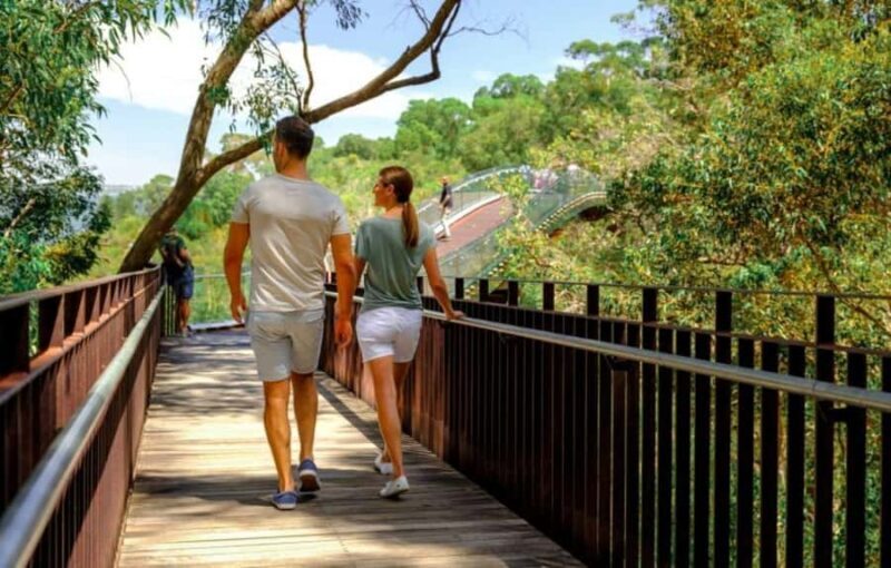 Perth: Kings Park Botanicals & Beyond Guided Hike - Who Will Enjoy This Tour?